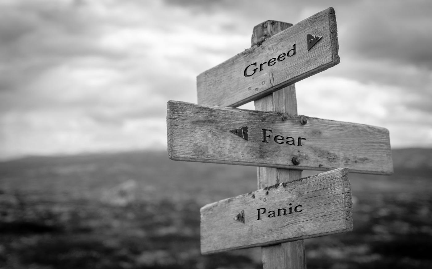 Your Brain on Fear & Greed: Why It’s Hard to Stop the Fear-Greed Cycle (& How to Break It)