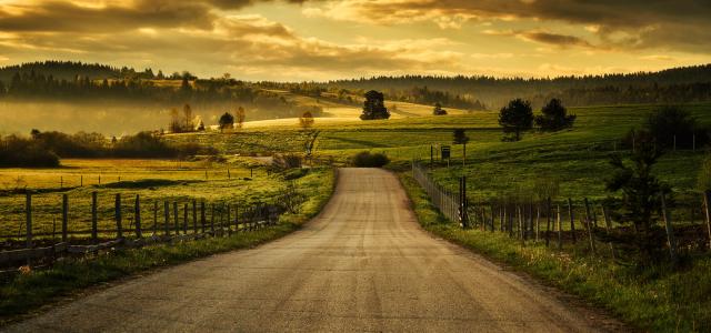 Country Road in Golden Sunrise Light